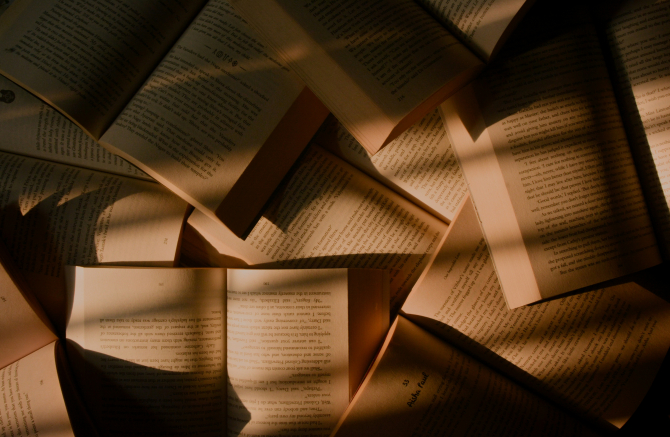 LES LIVRES DE STARS EN 2025 : SUCCÈS ASSUMÉS OU ÉCUEILS LITTÉRAIRES ?