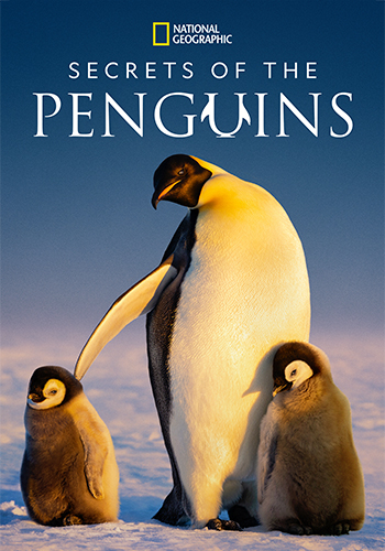 Secrets of the Penguins
