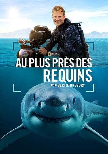 A plus près des requins avec Bertie Gregory