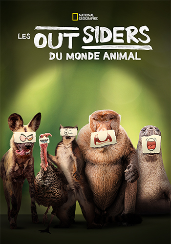 Les outsiders du monde animal