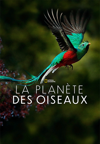 La planète des oiseaux