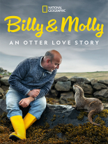 Billy & Molly: An Otter Love Story