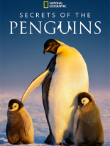 Secrets of the Penguins