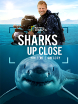 Sharks Up Close with Bertie Gregory