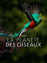 La planète des oiseaux