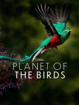 Planet of the Birds