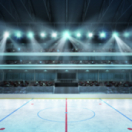 Match amical sport ijshockey RTS DEUX