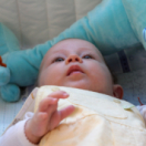 Baby Boom reality-tv TFX