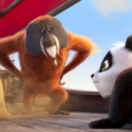 Petit panda en Afrique film animatie CINE + FAMILY