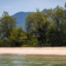 The Island spel RTL plug