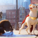 Krypto et les super-animaux film animatie TF1 Séries Films