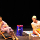 Les Bodin's, retour au pays show PARIS PREMIERE