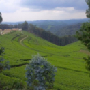 Rwanda : un miracle à marche forcée documentaire samenleving LA TROIS