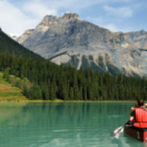 Les parcs nationaux canadiens docureeks natuur ANIMAUX
