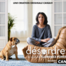 Désordres serie/feuilleton komedie CANAL + SERIES