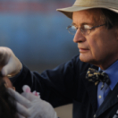 NCIS serie/feuilleton PLAY5