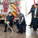 9-1-1 serie/feuilleton drama RTS UN