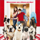 Palace pour chiens film komedie PARAMOUNT CHANNEL