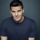 Bones serie/feuilleton misdaad 6TER