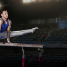 Fête fédérale de gymnastique gala RTS DEUX