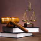 Chroniques criminelles magazine - duiding samenleving TFX