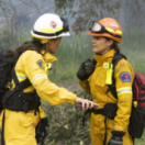 Grey's Anatomy : Station 19 serie/feuilleton drama TF1
