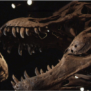 Avant «Jurassic Park» : l'apocalypse des dinosaures documentaire historisch RMC DECOUVERTE