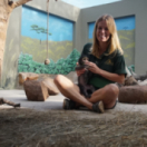 Raising Wildlife docureeks samenleving ANIMAUX