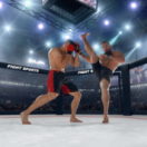 UFC Classiques sport L'EQUIPE 21