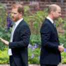 William et Harry : de l'amour à la haine documentaire samenleving CSTAR