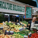 La vie secrète des commerçants docureeks ontdekking 6TER