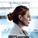 Grey's Anatomy serie/feuilleton dramatische komedie RTL tvi