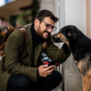 Animaux à adopter magazine - duiding dieren CSTAR