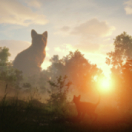 Flow, le chat qui n'avait plus peur de l'eau film animatie CANAL + CINEMA