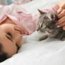 Animaux à adopter magazine - duiding dieren CSTAR