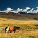 Rendez-vous en terre inconnue magazine - duiding avontuur LA TROIS
