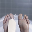 Chroniques criminelles magazine - duiding samenleving TFX