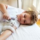 Le grand bêtisier des chats ontspanning 6TER