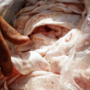 Thalassa, aventures extrêmes magazine mer FRANCE 5