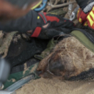 Thalassa, aventures extrêmes magazine mer FRANCE 5