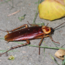 90' enquêtes magazine société TMC