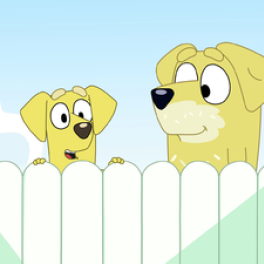 Bluey dessin animé DISNEY CHANNEL