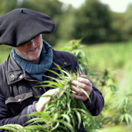 Cannabis, un paradoxe français documentaire société PUBLIC SENAT - LCP AN