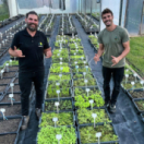 Blue série documentaire nature USHUAIA TV