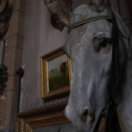 Échappées belles magazine découverte FRANCE 5