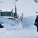 Sang-froid film action CINE + FRISSON