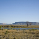 Stranded on Honeymoon Island: Australia divertissement VTM2