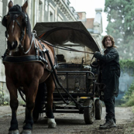 The Walking Dead : Daryl Dixon série/feuilleton horreur BE 1