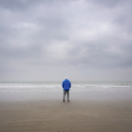 David Attenborough : l'appel de l'océan film documentaire NATIONAL GEOGRAPHIC CHANNEL