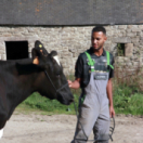 Nolan, devenir éleveur en Bretagne documentaire société FRANCE 3